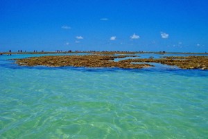 Terreno exclusivo beira-mar em Maracaípe 6