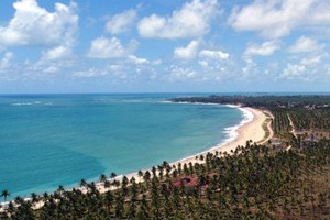 Terreno exclusivo beira-mar em Maracaípe 7